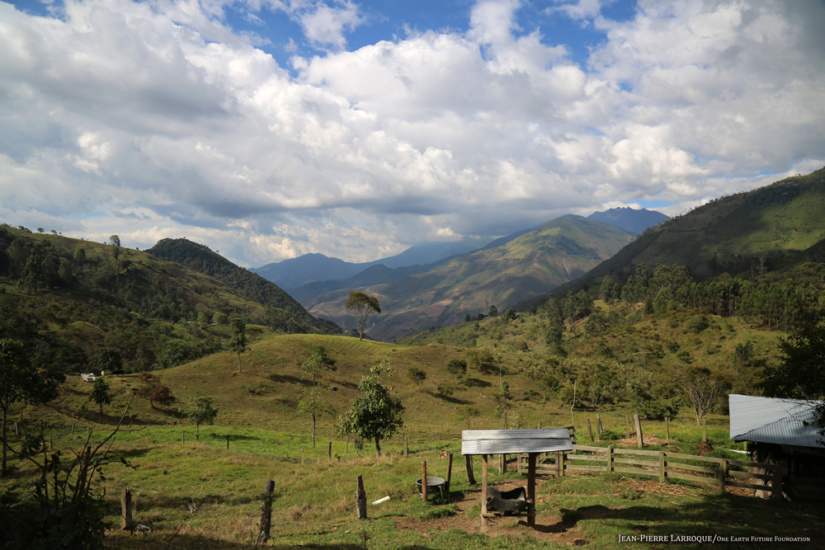 Buga, Valle Del Cauca, Colombia