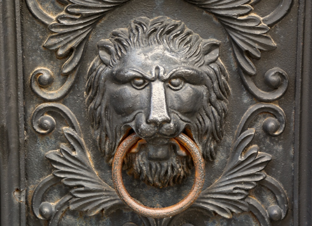 Lion with brass ring