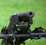 Cannon in grass